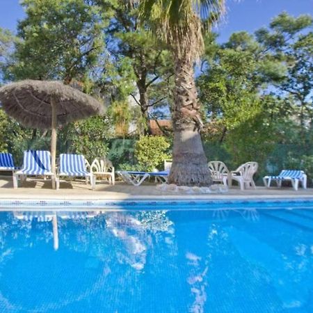 Studio/F1Bis A 50 M De La Plage Argelès-sur-Mer Exterior foto